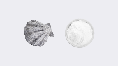 A seashell and a pile of calcinated shell calcium
